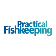 (c) Practicalfishkeeping.co.uk